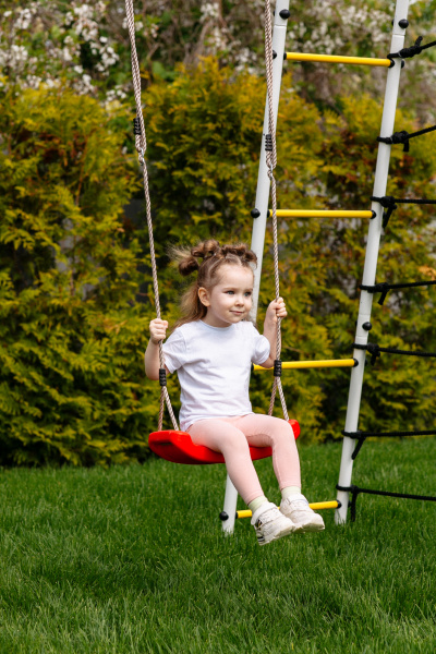 Детский спортивный комплекс для дачи ROMANA Богатырь Плюс 2 в Волжском ВИНКО