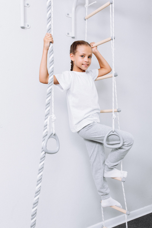 Турник настенный с навесным оборудованием ROMANA T1 в Волжском ВИНКО