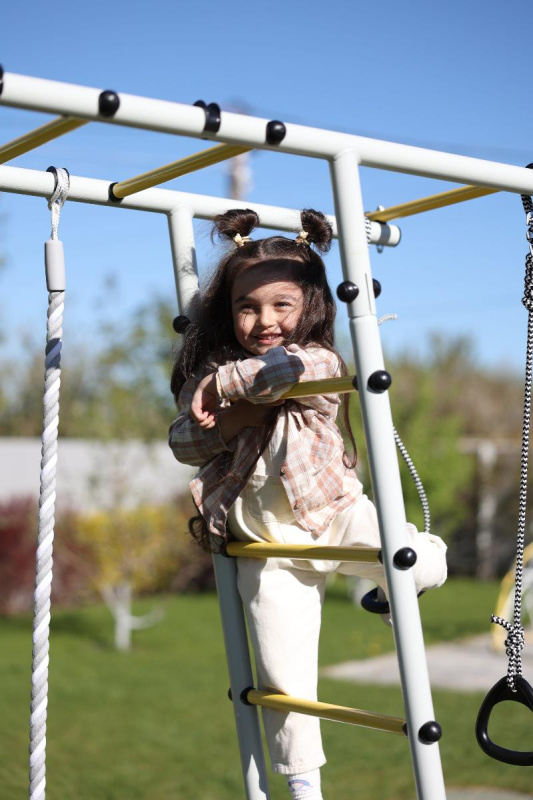 Детский спортивный комплекс для дачи ROMANA Лесная поляна - 3 в Волжском ВИНКО