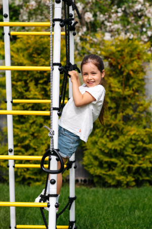 Детский спортивный комплекс для дачи ROMANA Богатырь Плюс 2 в Волжском ВИНКО