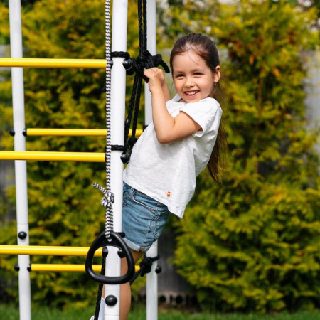 Детский спортивный комплекс для дачи ROMANA Богатырь Плюс 2 MAX в Волжском ВИНКО