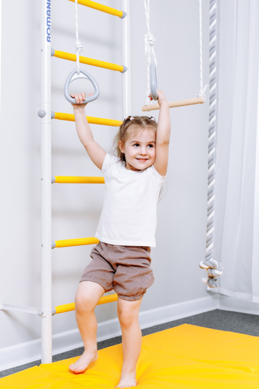 Домашний спортивный комплекс «Шведская стенка ROMANA S1» в Волжском ВИНКО