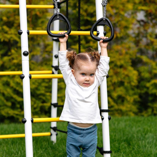 Детский спортивный комплекс для дачи ROMANA Богатырь Плюс 2 MAX в Волжском ВИНКО