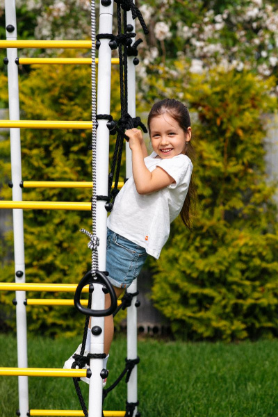 Детский спортивный комплекс для дачи ROMANA Богатырь MAX в Волжском ВИНКО